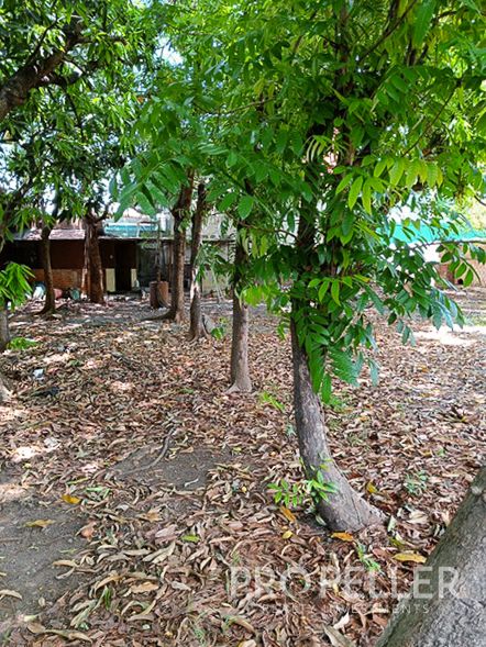 Admiral Village, Taytay, Rizal – Lot and Old House - Image 3