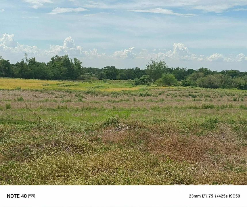 ByPass Tibagan, Barangay Tibagan, San Miguel, Bulacan - Commercial Lot - Image 2