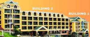 Thumbnail 11