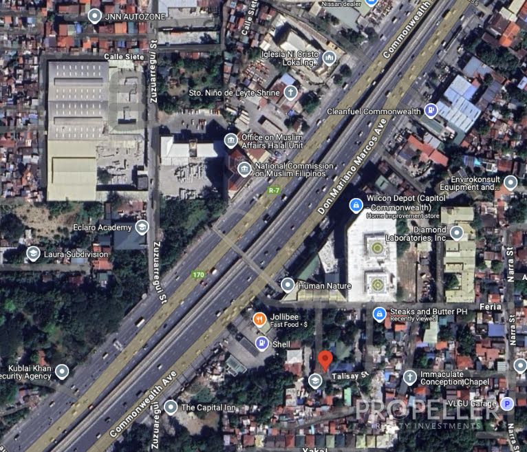 Talisay Street, Brgy Matandang Balara, Culiat, Quezon City - Lot - Image 6