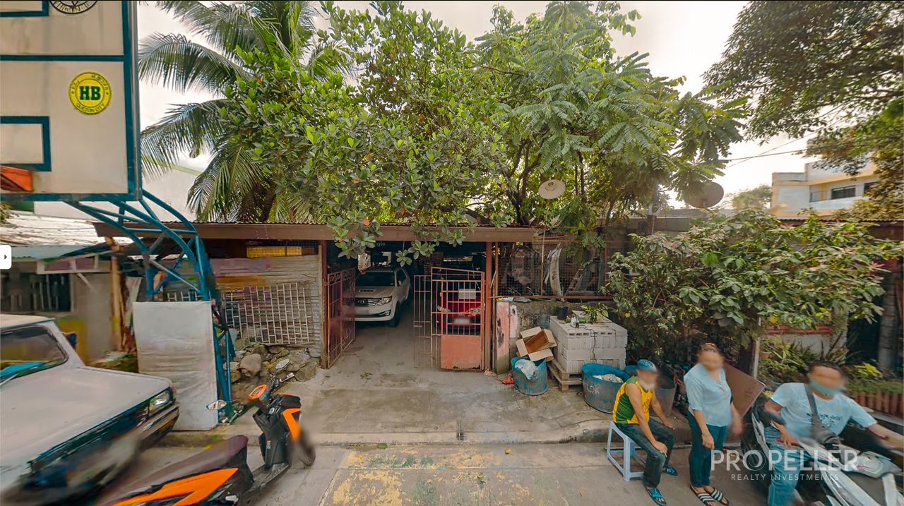 Talisay Street, Brgy Matandang Balara, Culiat, Quezon City - Lot - Image 2